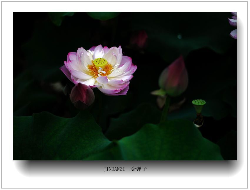 IMG_9766.jpg