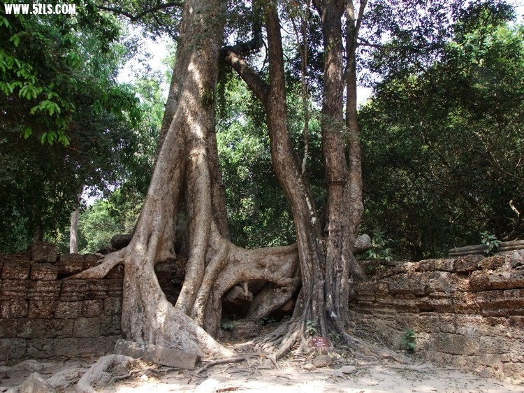 DSCF6752.JPG