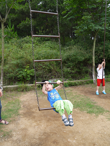 P1040977_.jpg