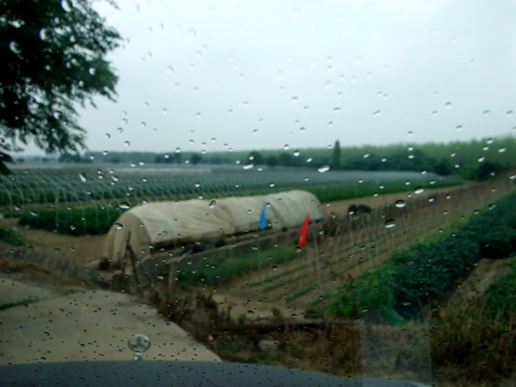 DSCF0055.JPG