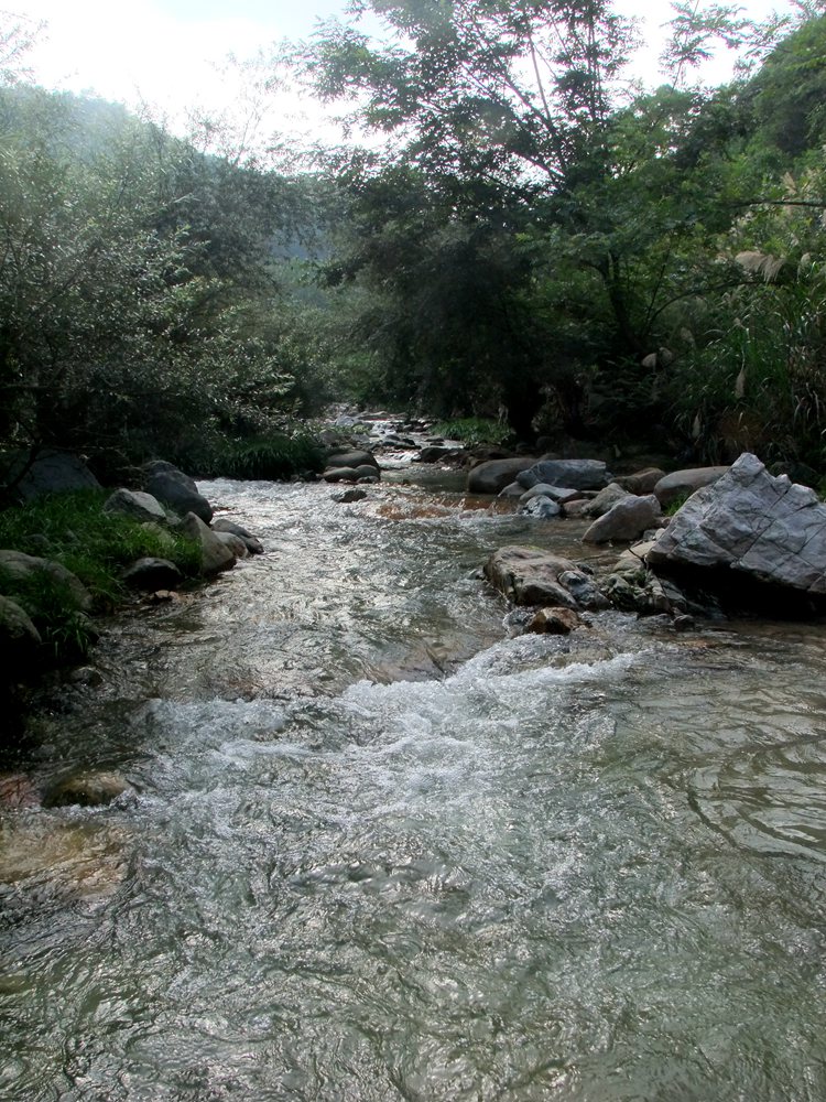 DSCF0117.JPG