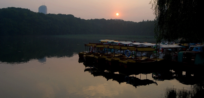 DSC_1842.JPG