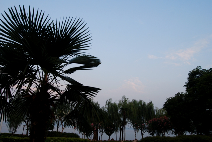 DSC_1856.JPG