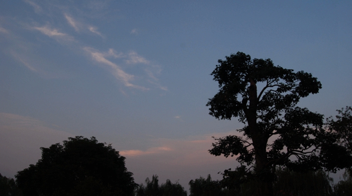 DSC_1859.JPG