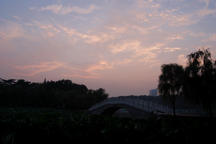 DSC_1871.JPG