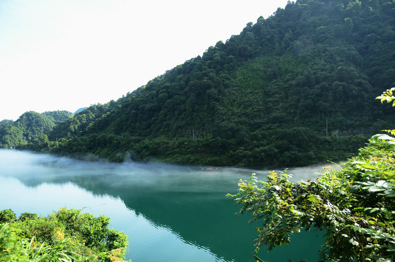 DSC_4228.JPG