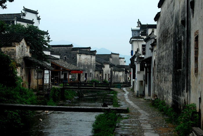 DSC_1547.JPG
