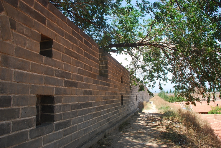 DSC_9935.jpg