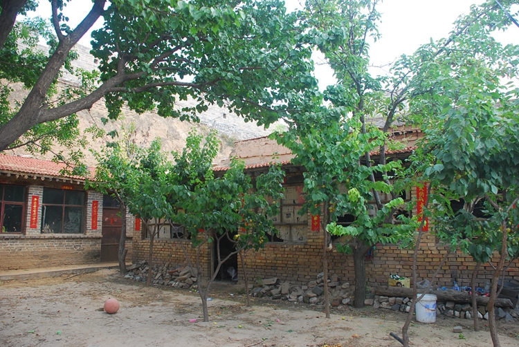 DSC_9952.jpg