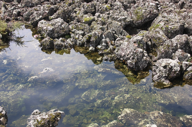 IMG_0145.jpg