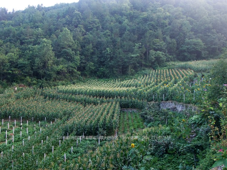 DSCF8074.JPG