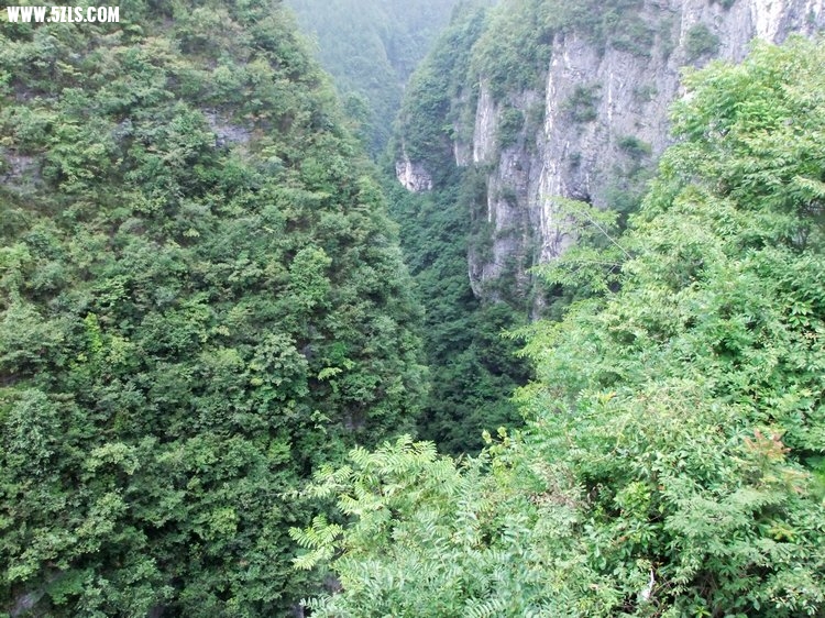 DSCF8161.JPG