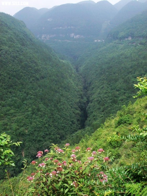 DSCF8164.JPG