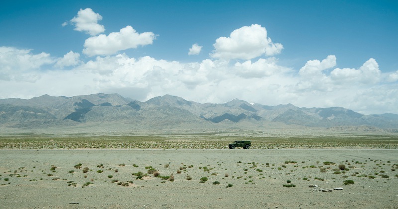 DSC_9631_.jpg