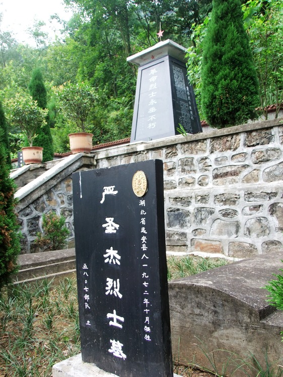 DSCF8753.JPG