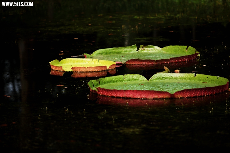 IMG_2790_.jpg