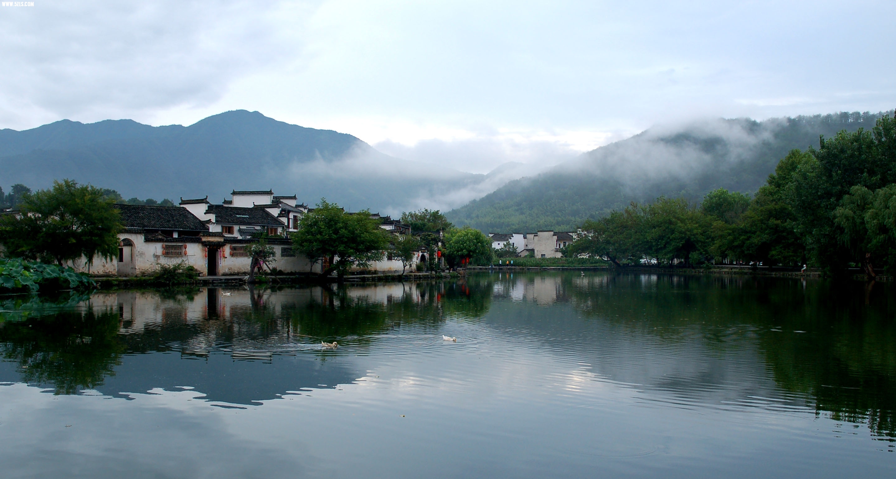 DSC_0092.jpg