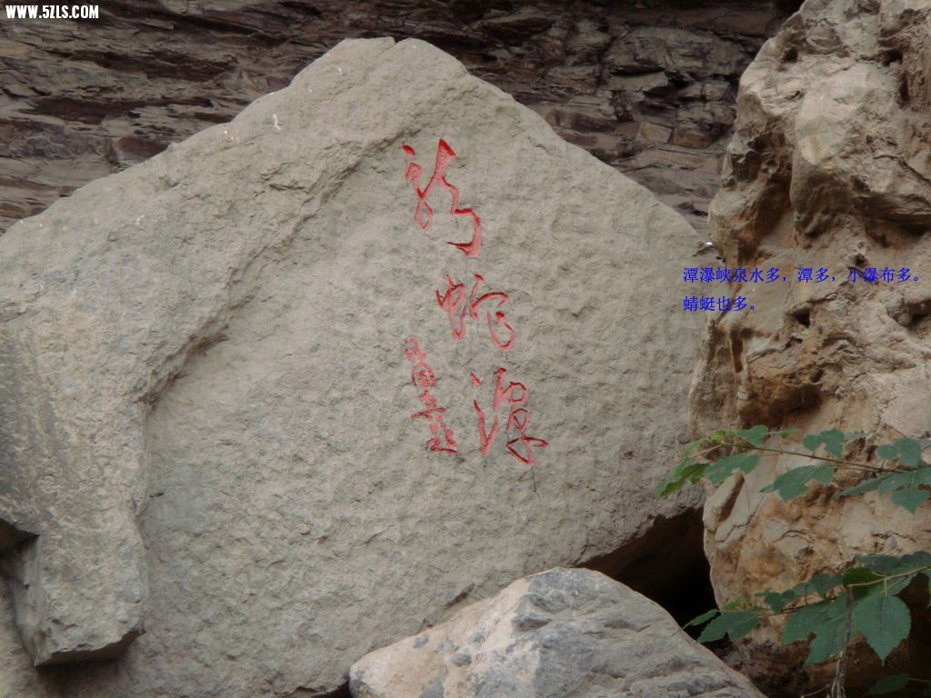 DSC00664.jpg