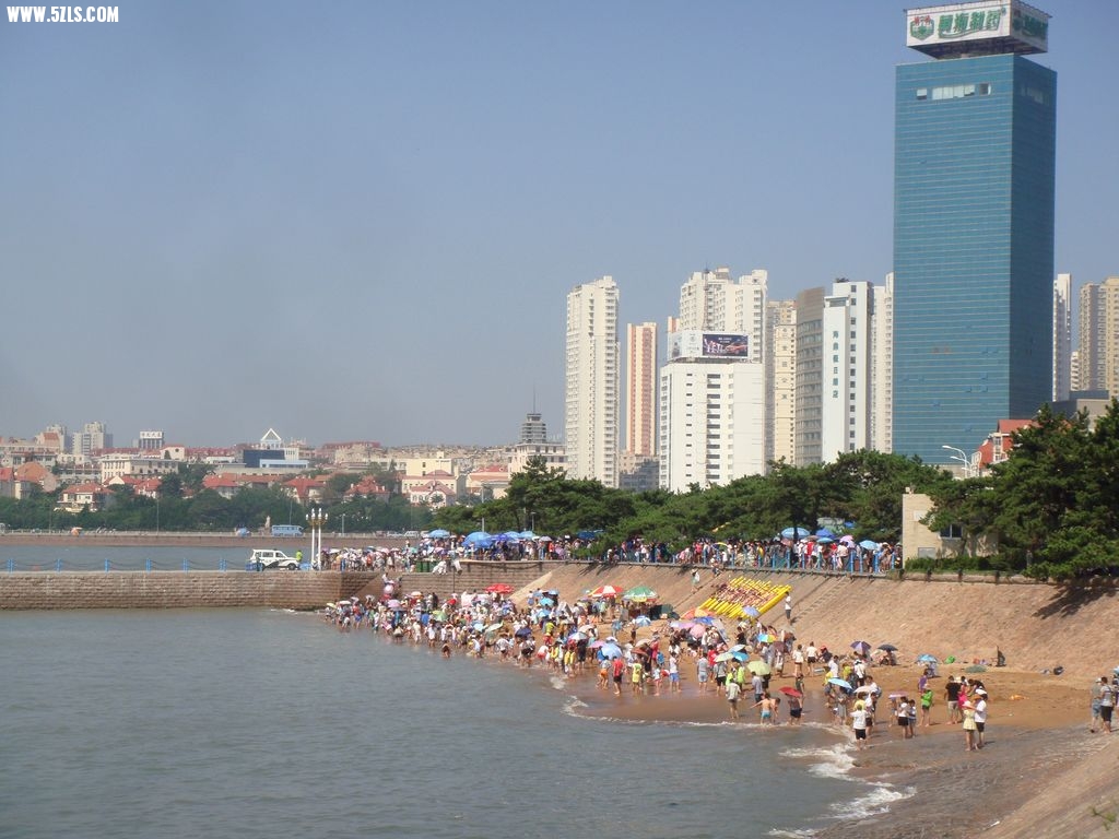 DSC00765.jpg