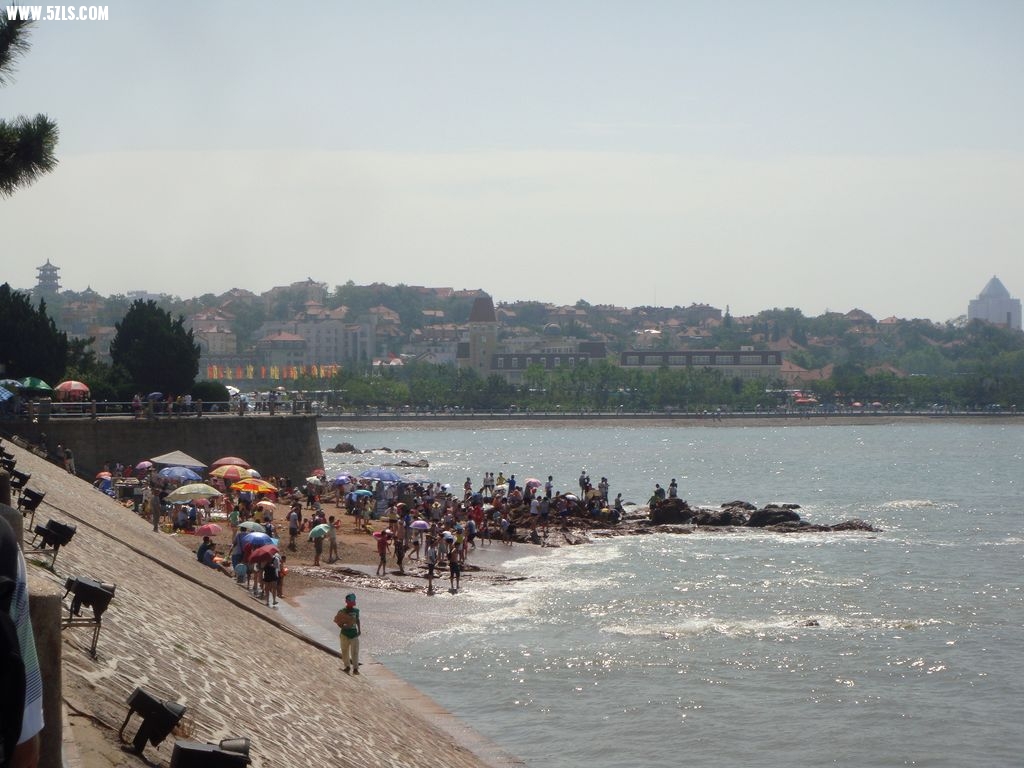 DSC00766.jpg