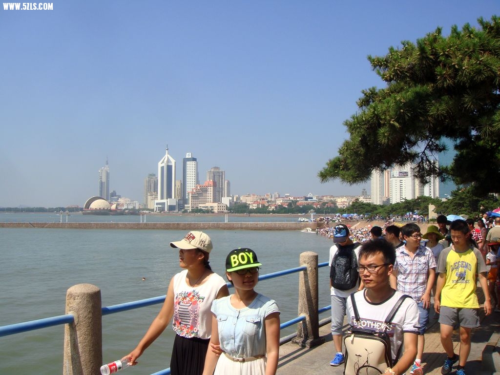 DSC00767.jpg