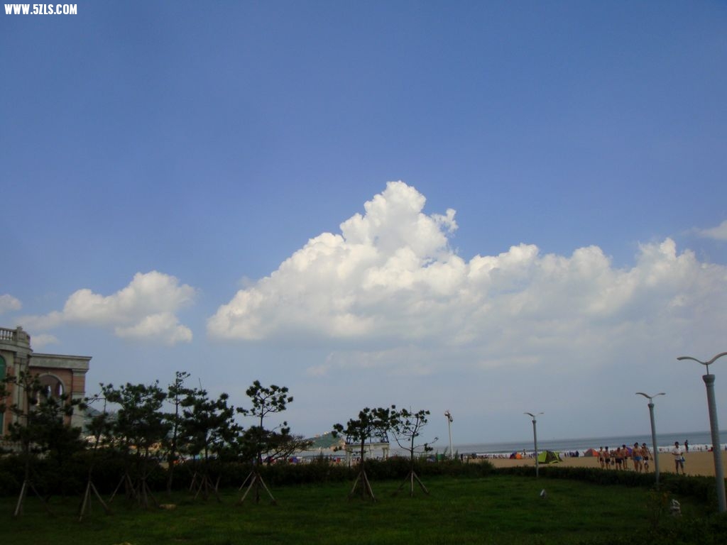 DSC00800.jpg