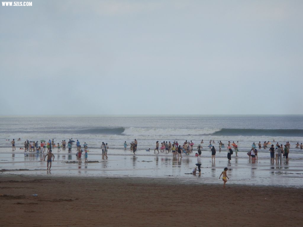 DSC00807.jpg