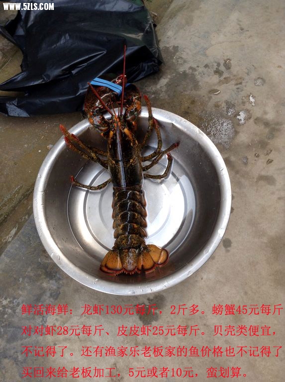 20140804_085459.jpg