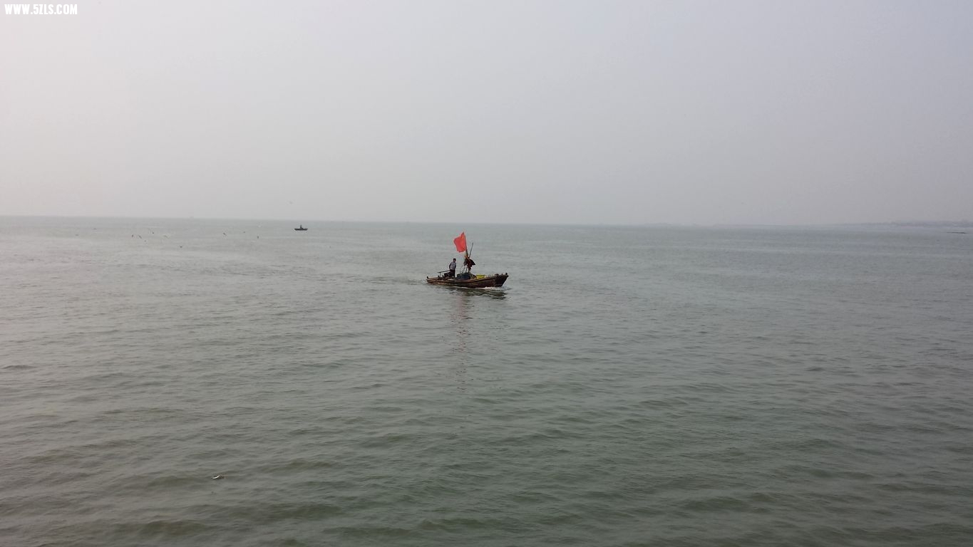 20140805_083130.jpg
