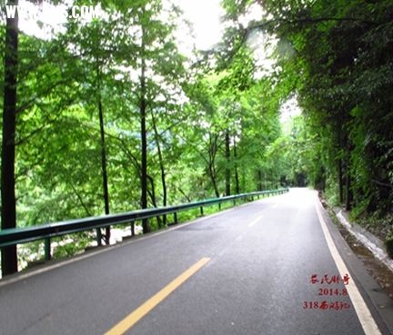 IMG_8078_副本.jpg