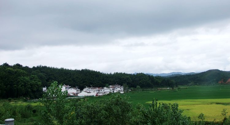 DSCF2020.JPG