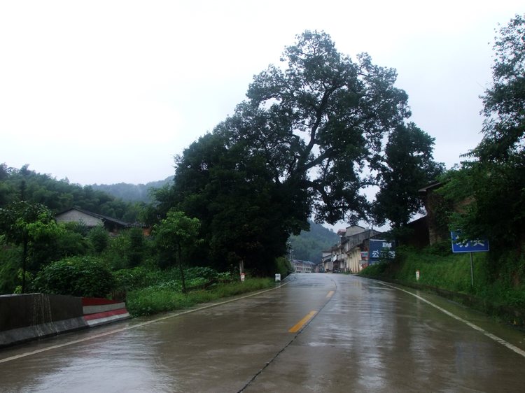 DSCF2274.JPG