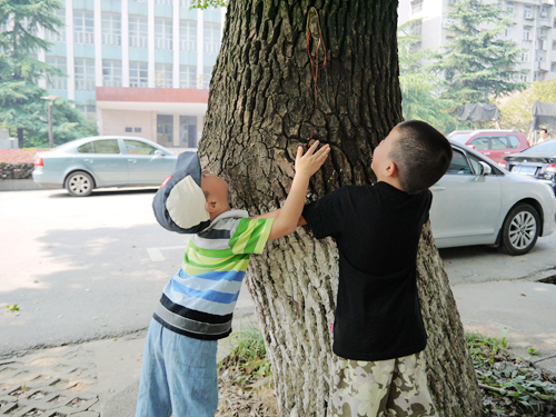 P1070040_.jpg