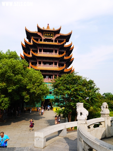 P1070026_.jpg