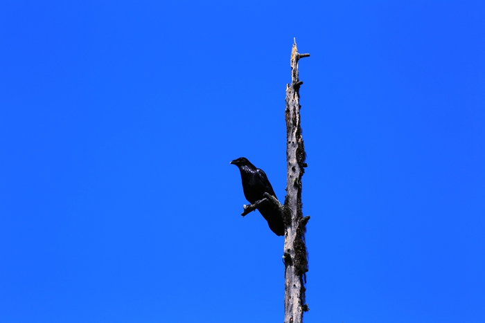 4T8A7547.JPG