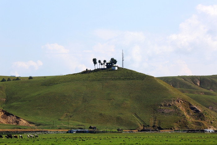 4T8A8066.JPG