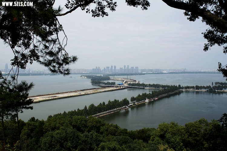 _MG_7090_.jpg