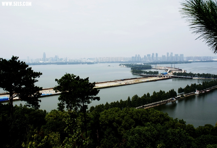 _MG_7092_.jpg