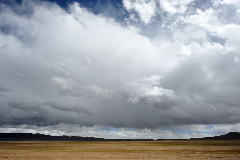 1SC_0968_.jpg