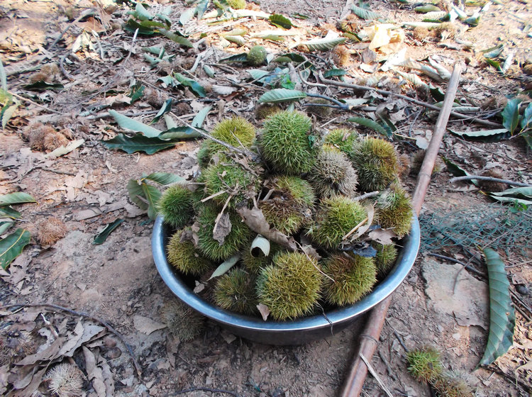 DSCF4192.JPG