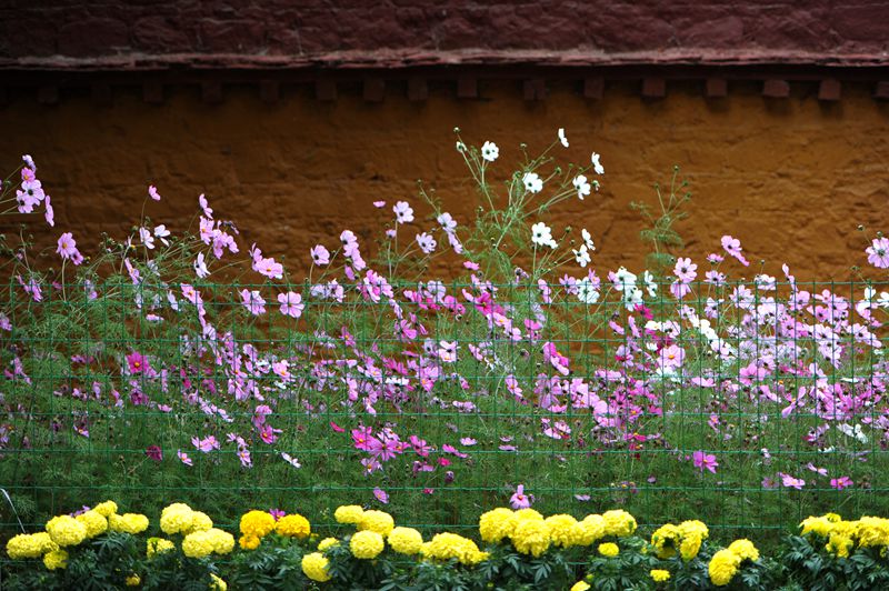1SC_3031_.jpg