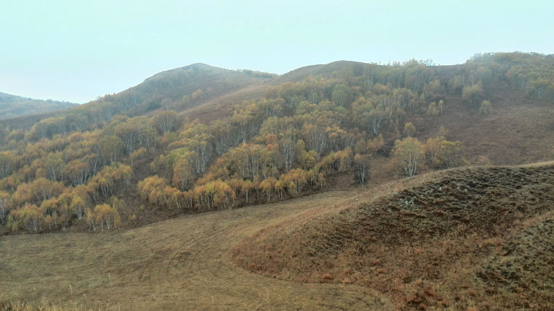 img_20141002_090050.jpg