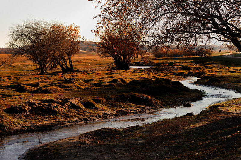 DSC_6906.jpg