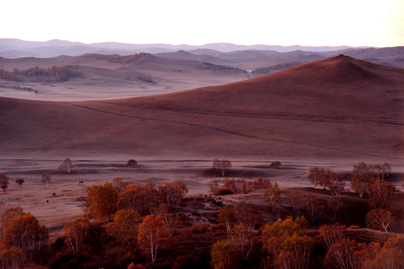 DSC_7020.jpg
