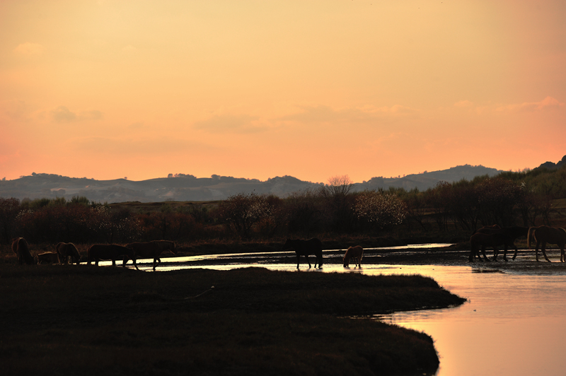DSC_7575.jpg