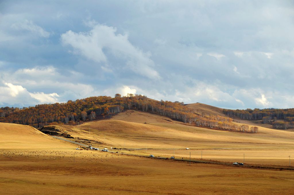 DSC_3655__.jpg