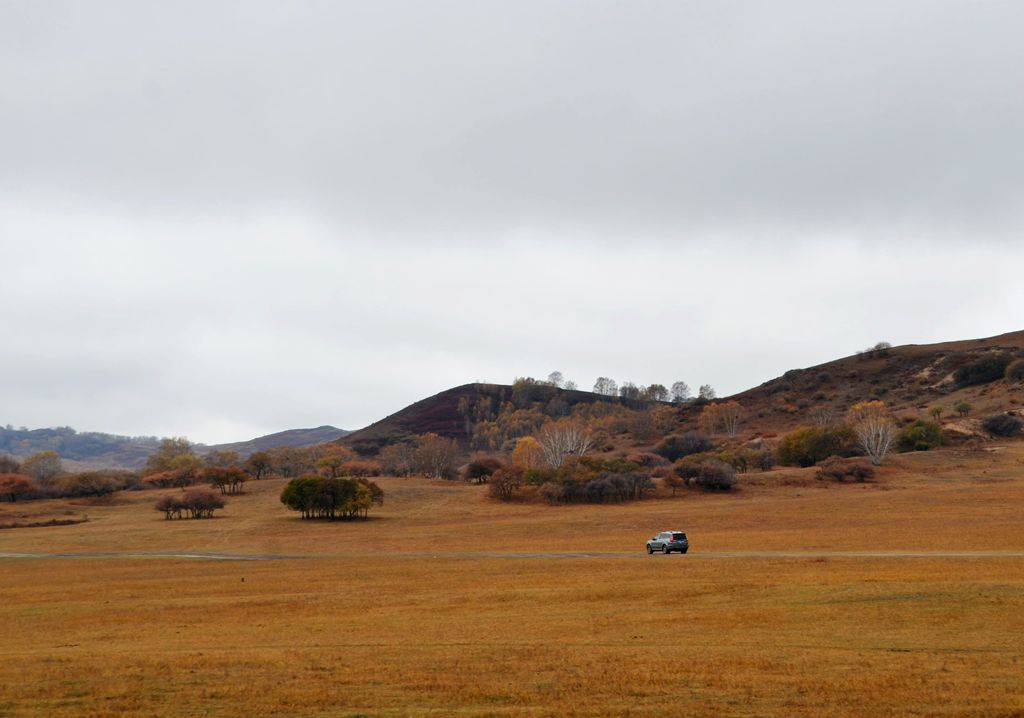 DSC_3394__.jpg