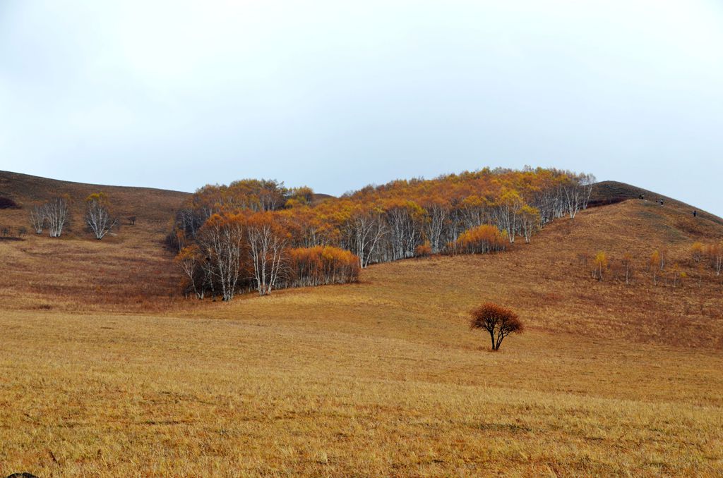 DSC_3405__.jpg