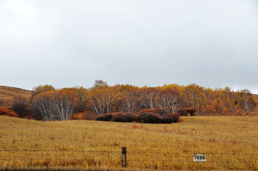 DSC_3417__.jpg