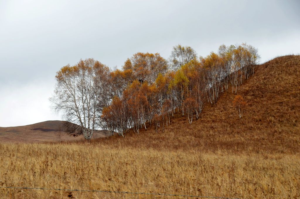 DSC_3421__.jpg